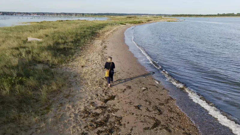 A beach and its shoreline